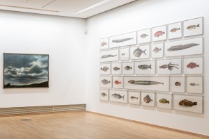 Ausstellungsansicht "Specimen", Photographische Sammlung / SK Stiftung Kultur, Köln 2021. Foto: Niklas Rausch