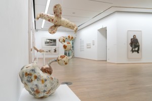 Ausstellungsansicht "Specimen", Photographische Sammlung / SK Stiftung Kultur, Köln 2021. Foto: Janet Sinica