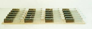 Erweiterte Lebendfalle, 1991, 7 x 6 x 32 cm, Holz, Draht, Acrylglas, Edition 26